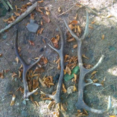 Vydareni deň v praci