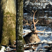 A slnko večné, nech mu svieti.