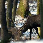Nezhadzuj ich - ja ich nechcem.