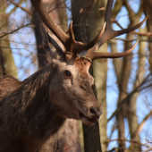 Naše pachy sa stretli.
