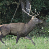 Keď slnko vychádzalo.