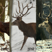 Tri sekundy, z troch rokov života.