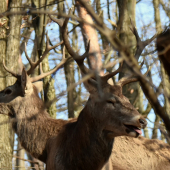 Nezabudnuteľný február.