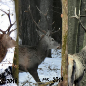 Tri sekundy z troch rokov života.
