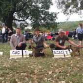 Perry Slovakia Lutra V2, R-CAC