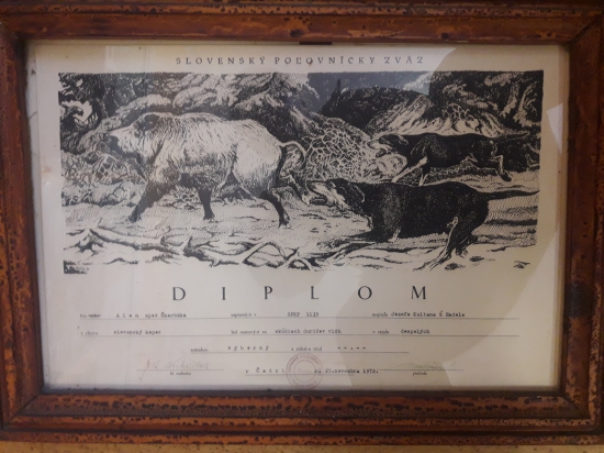 Diplom pre slovenského kopova