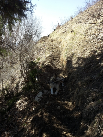 Sňah skapau tak načim zase chodníček v ťažkom teréne opraviť
