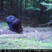 Jeden z tých lepších