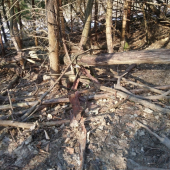 Este boli teple ????