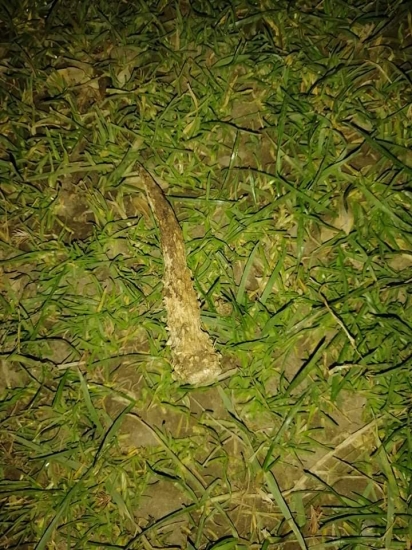 Starší ale potešil