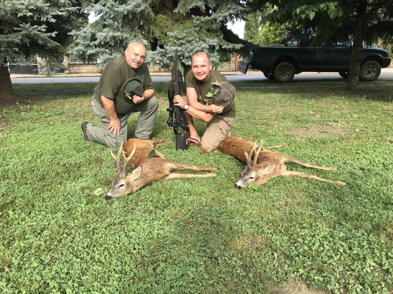 Madarsko/Bikal/Silver/Gold