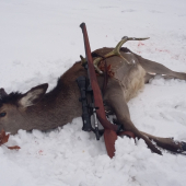 Jedno decembrove rano