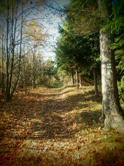 Prastará cesta