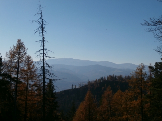 Kráľova hoľa