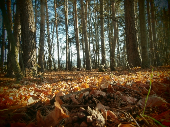 ešte teplo - November