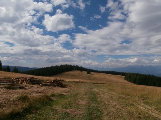 Vikartovské hole