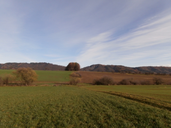 Chotár