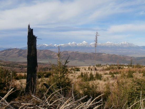Vysoké Tatry a Kozie chrbty