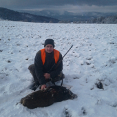 Sylvestroské prasiatko