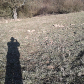Na slniečku
