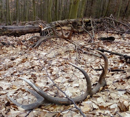 Keď je všetko tak ako má byť :D