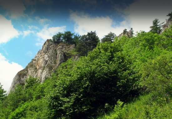 Biele karpaty