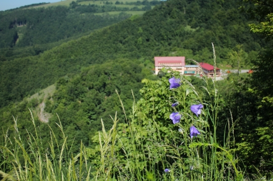 Biele karpaty