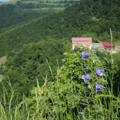 Biele karpaty