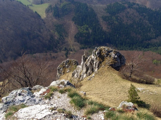 z Vápča