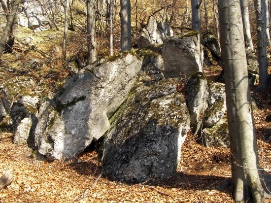 pod jazvečou skalou