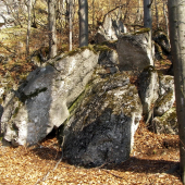 pod jazvečou skalou