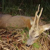 Najstarší z najstarších