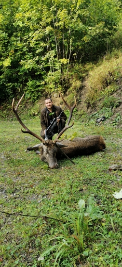 Ruja 2019