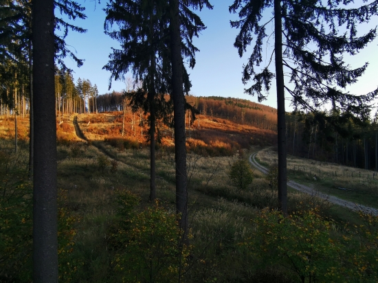 Strážovské vrchy