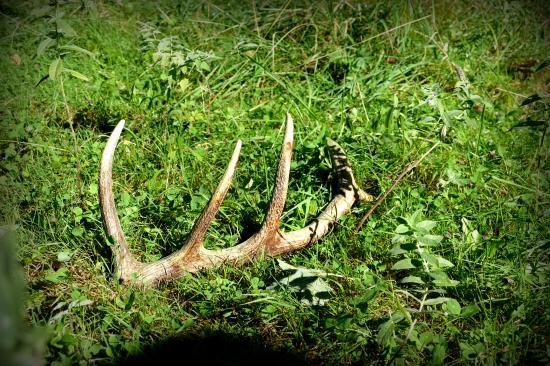 Zabudnutý 10-torááááčik