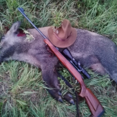 Diviačie pohladenie