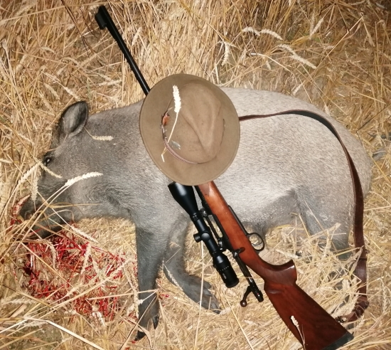 Ďalší z partie