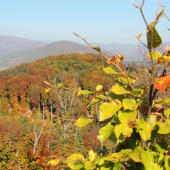 krásnú jeseň prajem...