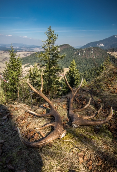 sobotné ráno na horách