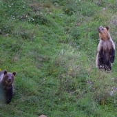 Kde len môže byť??