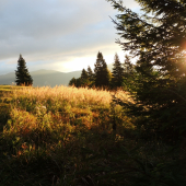 Jeseň na LIPTOVE.♥