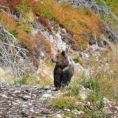 Ked pride len na skok.