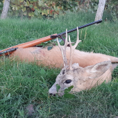 Za zvuku ručiaceho jeleňa...Lovu Zdar priatelia...