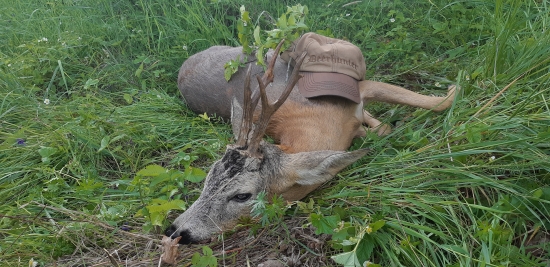 Pozvanie sa neodmieta.......