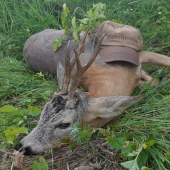 Pozvanie sa neodmieta.......