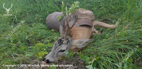 Pozvanie sa neodmieta.......