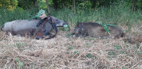 Dnešné ranné double...Lovu Zdar.