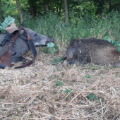 Dnešné ranné double...Lovu Zdar.