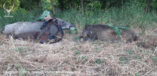 Dnešné ranné double...Lovu Zdar.