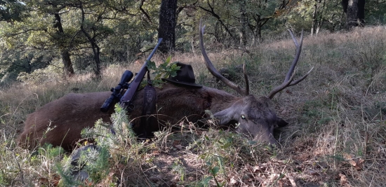 Keď sa ráno podarí...